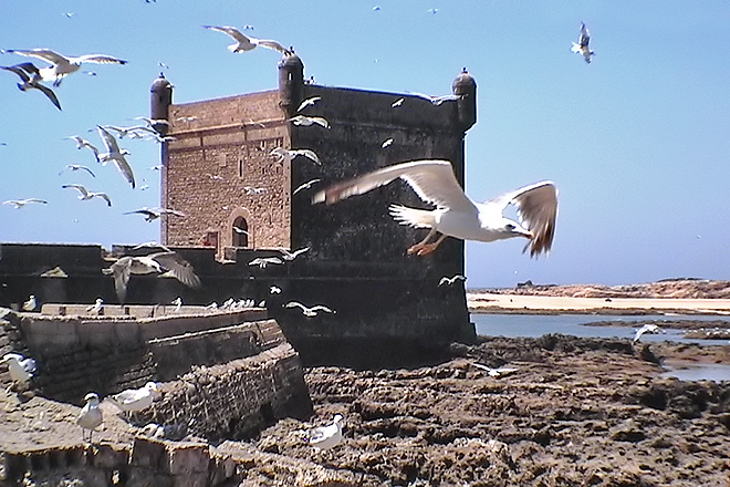 Essaouira ~ Maroc ~ 11 août 2005