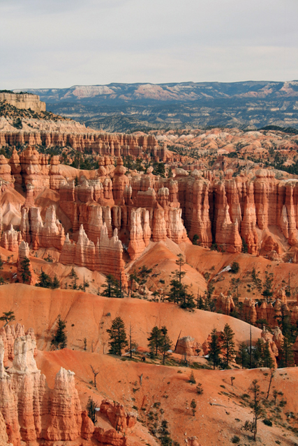 Bryce Canyon ~ Utah ~ USA ~ 25 decembre 2005