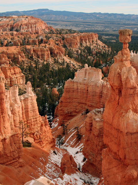 Bryce Canyon ~ Utah ~ USA ~ 25 decembre 2005