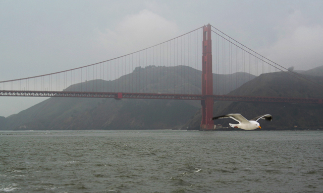 Pont du Golden Gate ~ San Francisco ~ Californie ~ USA ~ 29 décembre 2005 