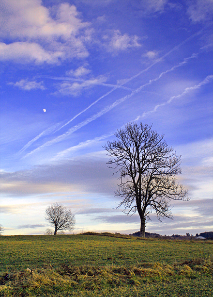 Haute-Loire ~ 30 décembre 2006