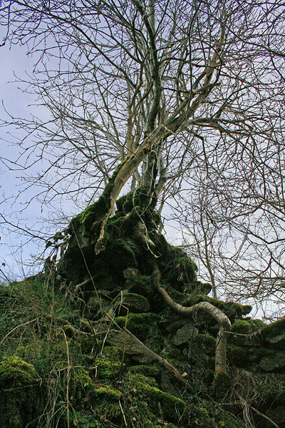 Haute-Loire ~ 31 décembre 2006