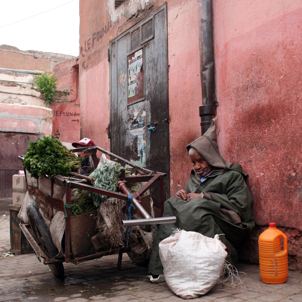 Marrakech ~ Maroc ~ 10 février 2006