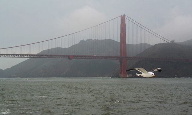 Pont du Golden Gate - San Francisco - Californie - USA