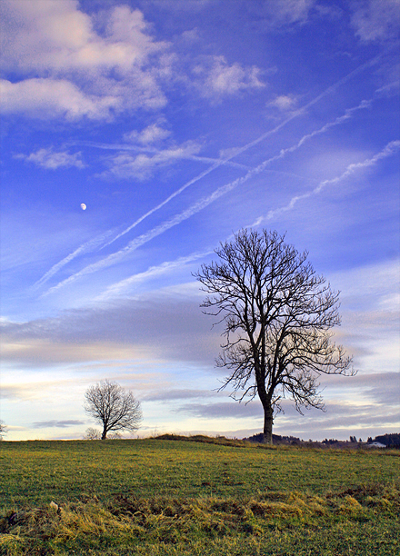 Haute-Loire