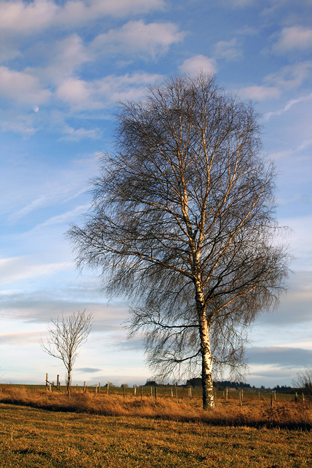 Haute-Loire 