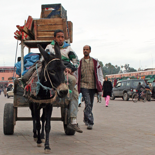 Marrakech - Maroc       